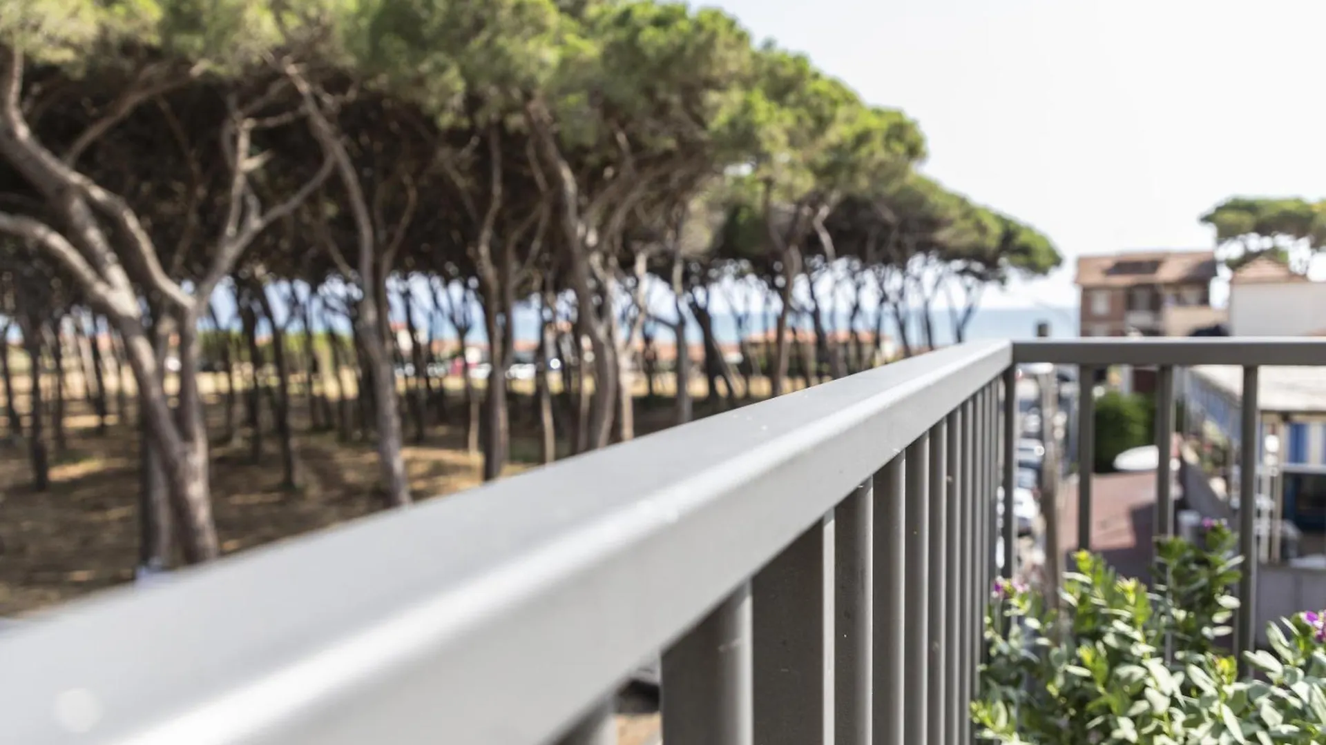 Pepe Nero Relax Hotel Follonica 0*,  Italy